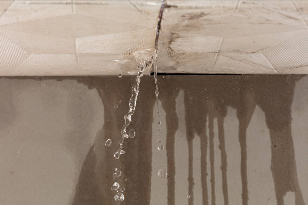 Professional Structural Drying technician working in Spring Lake, NJ